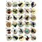 Kitcheniva 1 Pc Raven Wine Stoppers Wine lover Wood Stopper Bird Crow